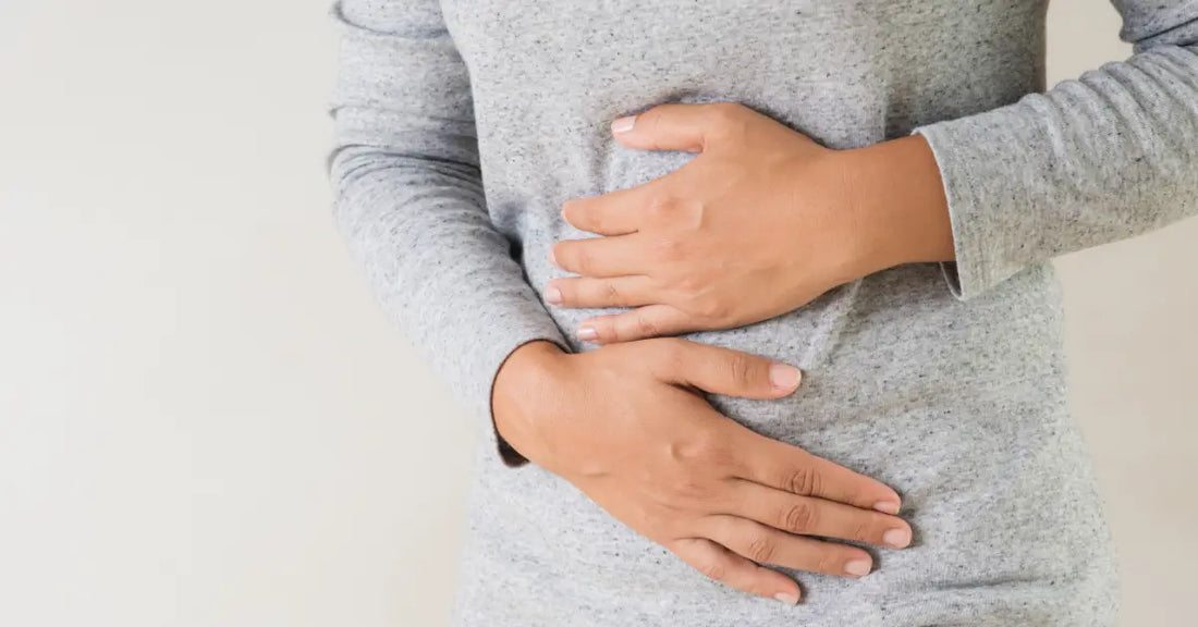 can vegan protein powder make you bloated