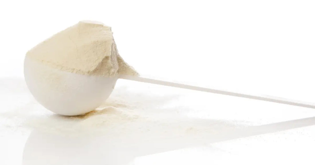 A scoop of vanilla protein powder on a white surface.