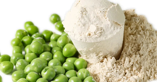 a scattering of vibrant green peas, some with a hint of frost, alongside a scoop overflowing with vegan protein powder