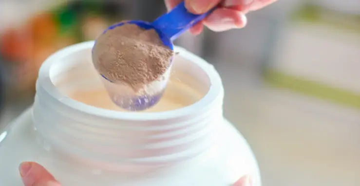 expired vegan protein powder